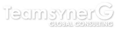 TeamsynerG Global Consultant